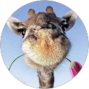 Diane Wright profile picture